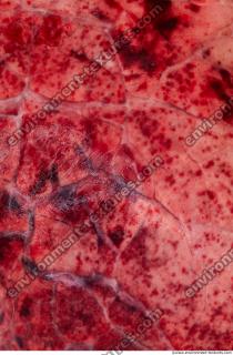 RAW meat pork 0065